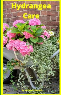 Îngrijirea hortensiilor: Cum să îngrijești hortensiile pentru începători - grădinărit ușor acasă - Hydrangea Care: How To Care For Hydrangeas For Beginners - Easy Home Gardening