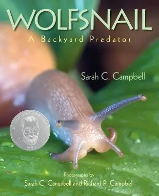 Cârtița-lup: Un prădător de curte - Wolfsnail: A Backyard Predator