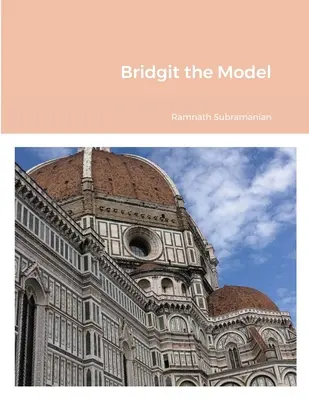Modelul Bridgit - Bridgit the Model