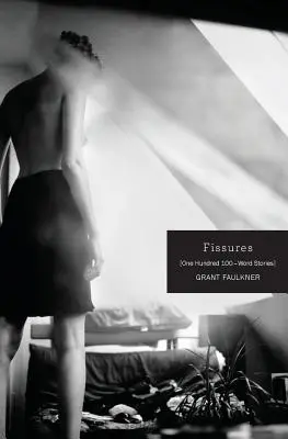 Fisuri: One Hundred 100-Word Stories (O sută de povestiri de 100 de cuvinte) - Fissures: One Hundred 100-Word Stories