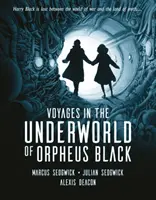 Călătorii în lumea subterană ale lui Orfeu Negru - Voyages in the Underworld of Orpheus Black