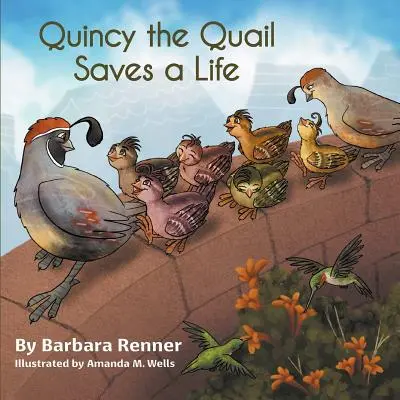 Quincy prepelița salvează o viață - Quincy the Quail Saves a Life