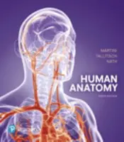 Anatomie umană - Human Anatomy