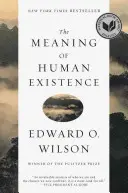 Sensul existenței umane (The Meaning of Human Existence) - The Meaning of Human Existence