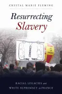 Resuscitarea sclaviei: Moșteniri rasiale și supremație albă în Franța - Resurrecting Slavery: Racial Legacies and White Supremacy in France