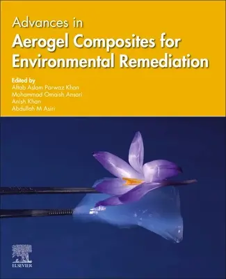 Progrese în compușii Aerogel pentru remedierea mediului - Advances in Aerogel Composites for Environmental Remediation