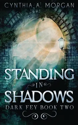 Stând în umbră - Standing in Shadows