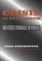 Criza din Betleem - Crisis in Bethlehem
