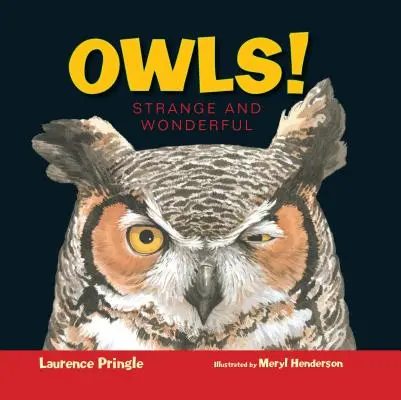 Bufnițele! Ciudat și minunat - Owls!: Strange and Wonderful