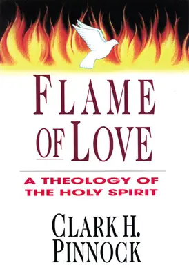 Flacăra iubirii: Trei viziuni asupra destinului celor neevanghelizați - Flame of Love: Three Views on the Destiny of the Unevangelized