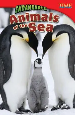Animale pe cale de dispariție din mare - Endangered Animals of the Sea