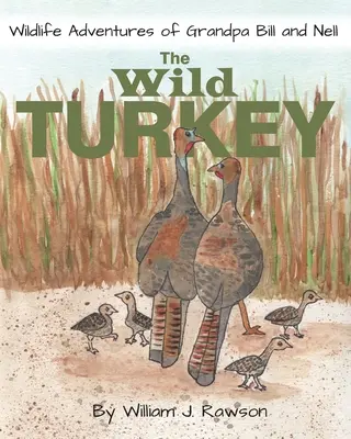 Curcanul sălbatic - The Wild Turkey