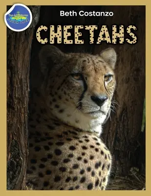 Cheetah Activity Workbook vârstele 4-8 - Cheetah Activity Workbook ages 4-8