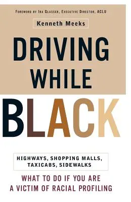 Conducerea în timp ce ești negru: autostrăzi, centre comerciale, taxiuri, trotuare: Cum să ripostați dacă sunteți victima profilării rasiale - Driving While Black: Highways, Shopping Malls, Taxi Cabs, Sidewalks: How to Fight Back If You Are a Victim of Racial Profiling