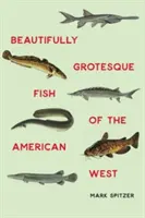 Pești frumos grotești din vestul american - Beautifully Grotesque Fish of the American West