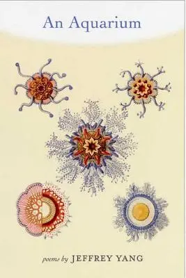Un acvariu - An Aquarium