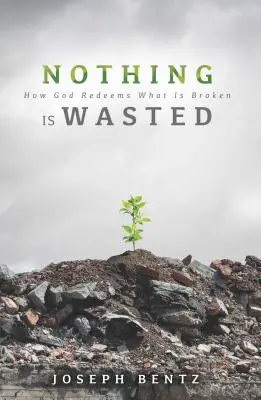 Nimic nu este irosit: Cum Dumnezeu răscumpără ceea ce este stricat - Nothing Is Wasted: How God Redeems What Is Broken