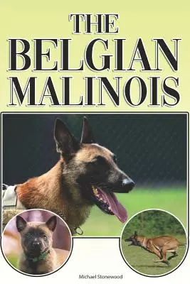 Malinoisul belgian: Un ghid complet și cuprinzător pentru începători pentru: Cumpărarea, Deținerea, Sănătatea, Îngrijirea, Dresajul, Obediența, Înțelegerea - The Belgian Malinois: A Complete and Comprehensive Beginners Guide To: Buying, Owning, Health, Grooming, Training, Obedience, Understanding