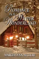 Romantism în Țara Minunilor de Iarnă - Romance in a Winter Wonderland