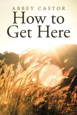 Cum să ajungi aici - How to Get Here