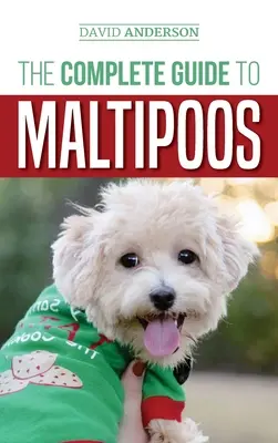Ghidul complet pentru Maltipoo: Tot ce trebuie să știți înainte de a vă lua câinele Maltipoo - The Complete Guide to Maltipoos: Everything you need to know before getting your Maltipoo dog