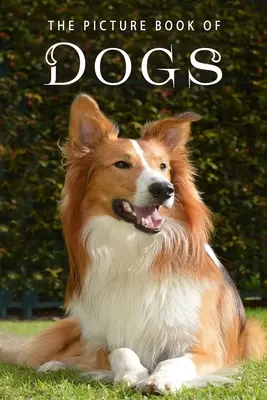 The Picture Book of Dogs: A Gift Book for Alzheimer's Patients and Seniors with Dementia