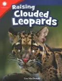 Creșterea leoparzilor înnoroiați - Raising Clouded Leopards