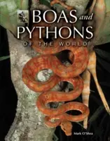 Șerpi veninoși din lume - Venomous Snakes of the World