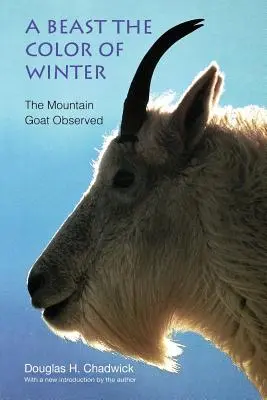 O fiară de culoarea iernii: Capra de munte observată - A Beast the Color of Winter: The Mountain Goat Observed