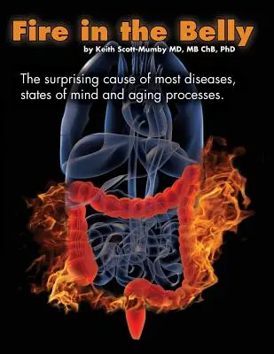 Fire In The Belly: Cauza surprinzătoare a majorității bolilor, stărilor de spirit și proceselor de îmbătrânire - Fire In The Belly: The Surprising Cause of Most Diseases, States Of Mind and Aging Processes