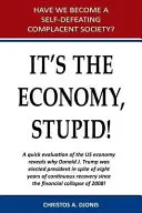 E vorba de economie, prostule - It's the Economy, Stupid