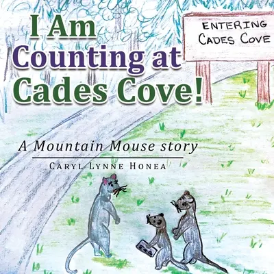 Eu număr la Cades Cove!: O poveste cu șoarece de munte - I Am Counting at Cades Cove!: A Mountain Mouse Story