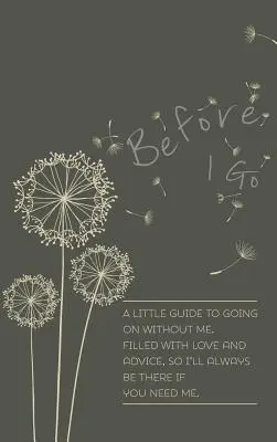 Înainte de a pleca - Before I Go
