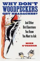 De ce ciocănitoarele nu au dureri de cap? And Other Bird Questions You Know You Want to Ask - Why Don't Woodpeckers Get Headaches?: And Other Bird Questions You Know You Want to Ask