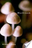 Ciupercă - Mushroom
