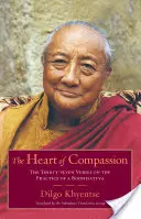 Inima compasiunii: Cele treizeci și șapte de versete despre practica unui Bodhisattva: The Thirty-Seven Verses on the Practice of a Bodhisattva - The Heart of Compassion: The Thirty-Seven Verses on the Practice of a Bodhisattva