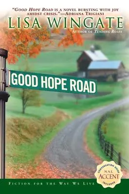 Drumul bunei speranțe - Good Hope Road