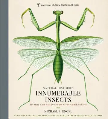 Insecte nenumărate: Povestea celor mai diverse și mirifice animale de pe Pământ - Innumerable Insects: The Story of the Most Diverse and Myriad Animals on Earth