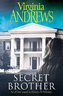 Fratele secret - Secret Brother