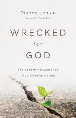 Naufragiat pentru Dumnezeu - Wrecked for God