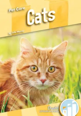 Pisici - Cats