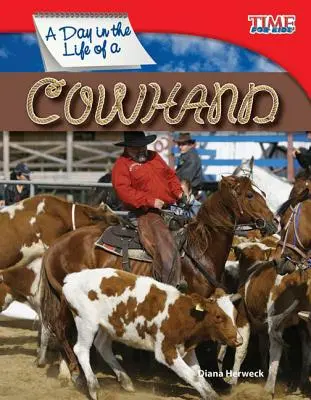 O zi din viața unui văcar - A Day in the Life of a Cowhand