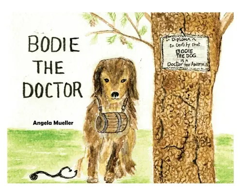 Doctorul Bodie - Bodie the Doctor