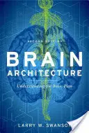 Arhitectura creierului - Brain Architecture