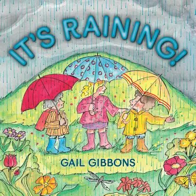 Plouă! - It's Raining!