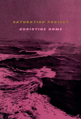 Proiectul Saturation - Saturation Project