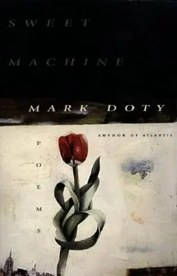 Mașina dulce - Sweet Machine
