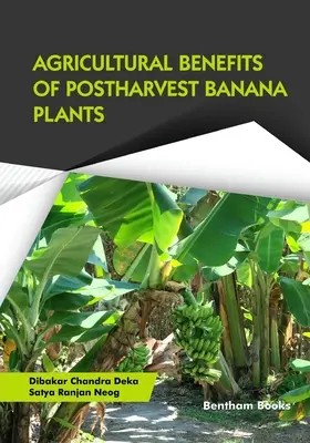 Beneficiile agricole ale plantelor de banan după recoltare - Agricultural Benefits of Postharvest Banana Plants