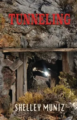 Tuneluri - Tunneling