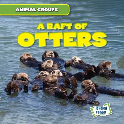 O barcă de vidre - A Raft of Otters